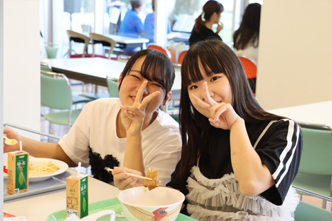 ケーキバイキング