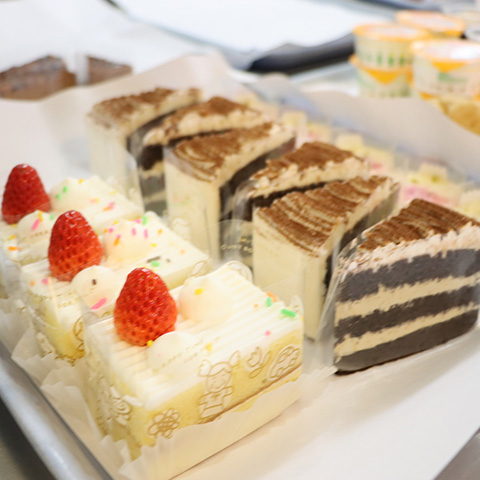 春のOPENCAMPUSは、2026/3/21（土）に開催！