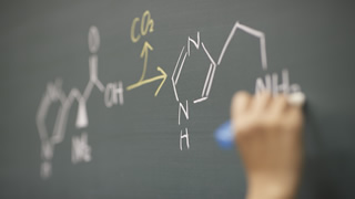 管理栄養学科