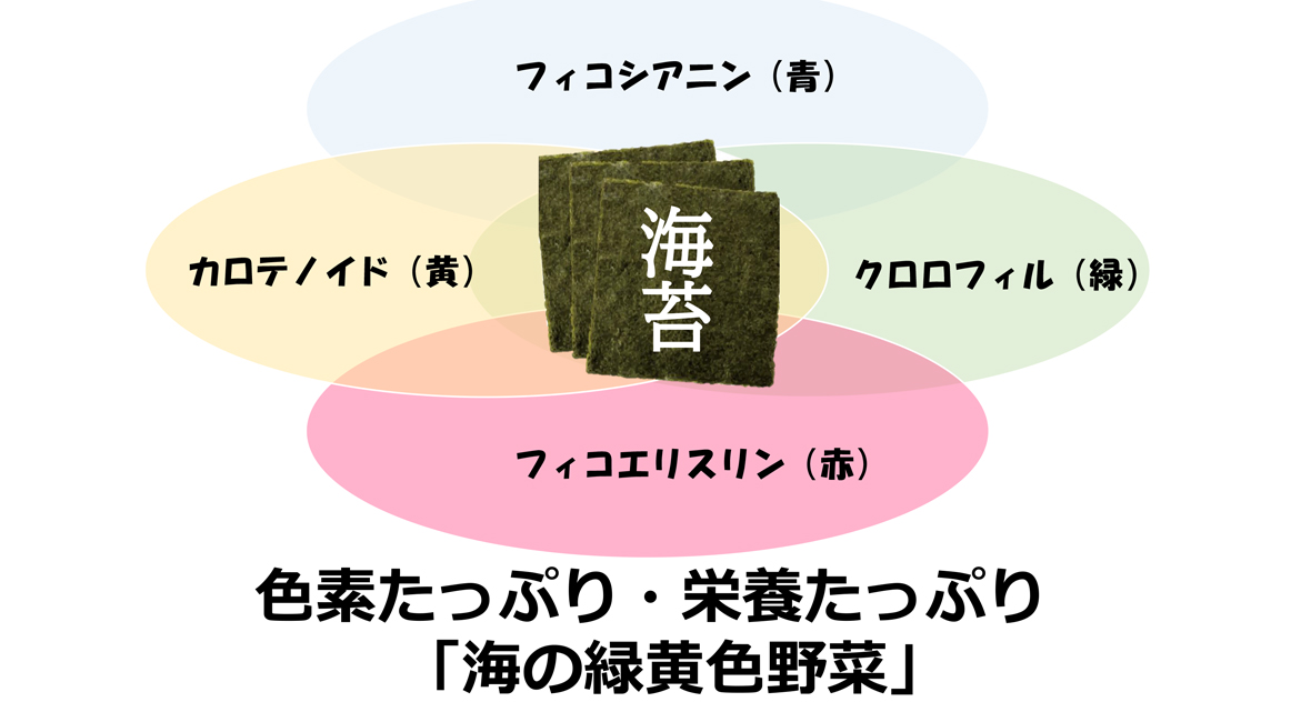 写真1