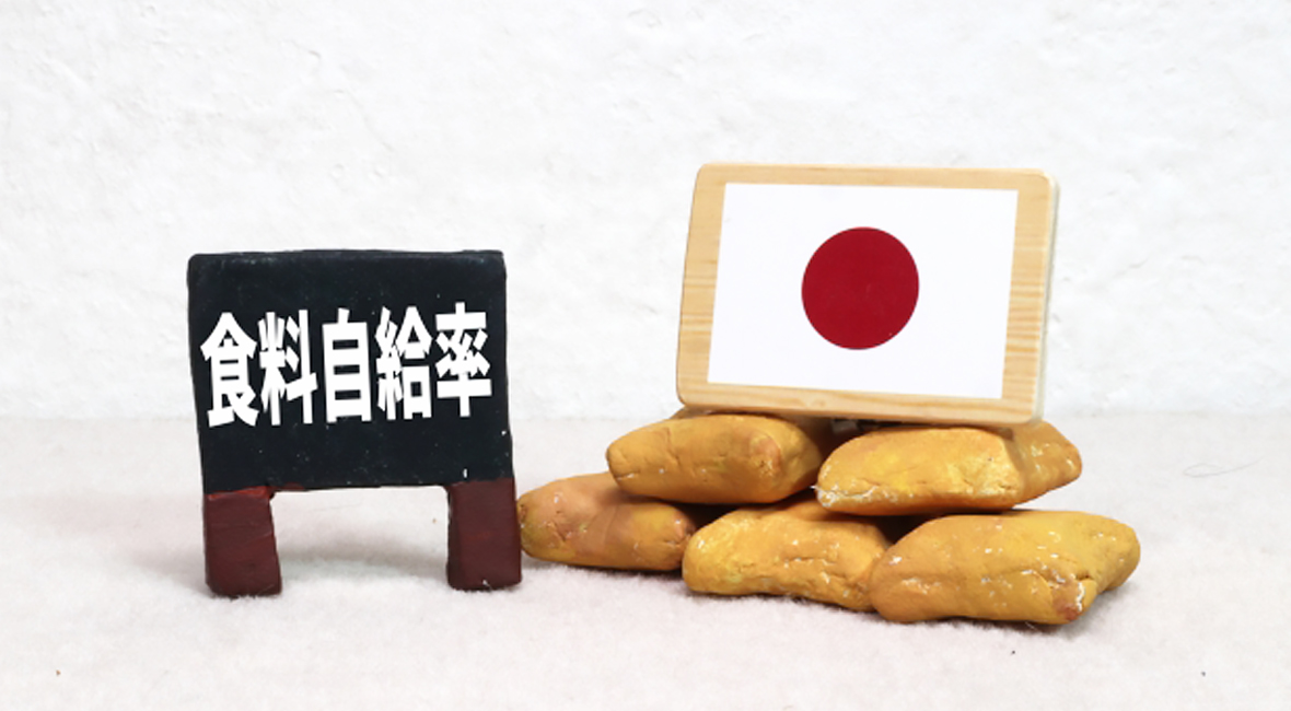 写真1
