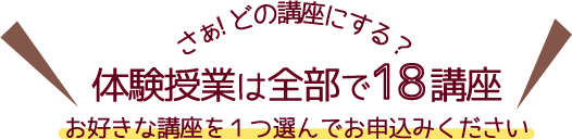 体験授業は全部で18講座～お好きな講座を１つ選んでお申込みください～