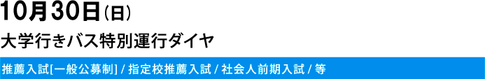 1030()̃XN[oXʃ_C(E[ʌ吧]/wZE/ЉlO)