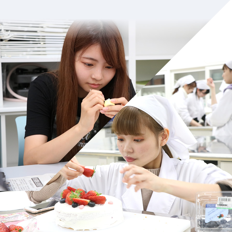 愛知学泉短期大学 愛知学泉短期大学